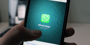 Conta verificada WhatsApp